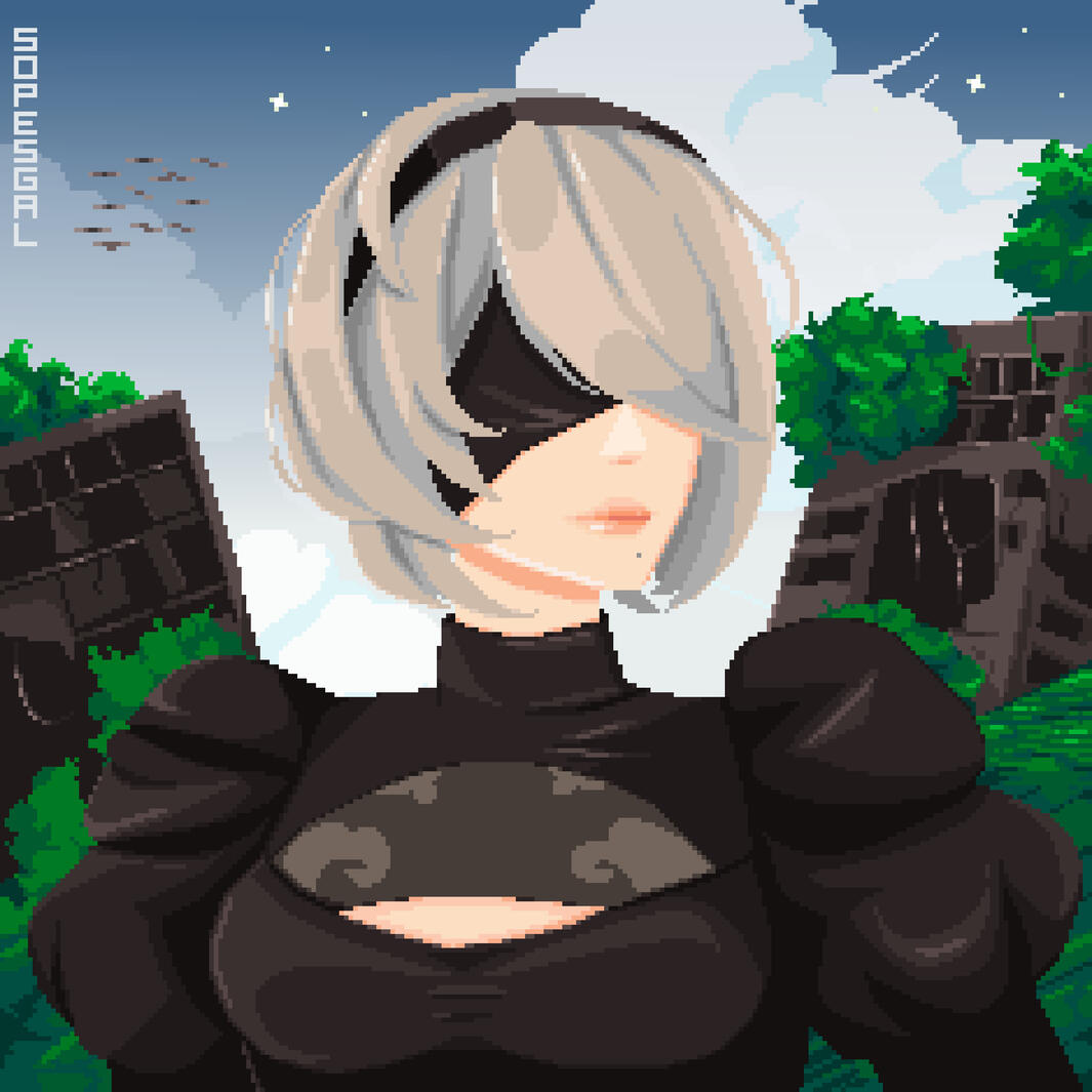 2B V1