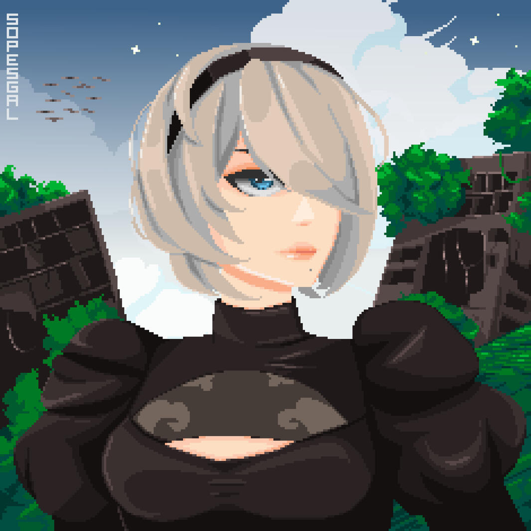 2B V2